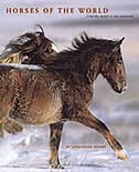 Horses Of The World: From The Desert To The Racetrack