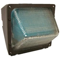 Hubbell 46587 - 100 watt Sodium Special Application Light Fixture (WPH100S)