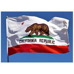 California State Flag - 4' x 6' - Nylon