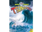 Tsunamis Natural Disasters