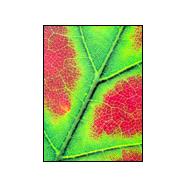 Plant Physiology