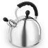 Morphy Richards Equip 2.5Ltr Whistling Kettle - Stainless Steel