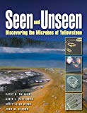 Seen and Unseen: Discovering The Microbes Of Yellowstone