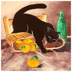 Return from market with black cat - Square 24 X 24