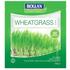 Bioglan Superfoods Wheatgrass Powder - 100g