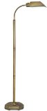 OTT-LITE Alexander Brass Energy Saving Gooseneck Floor Lamp
