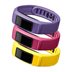 Garmin Vivofit 2 Bands - Canary/pink/violet, Large By Garmin