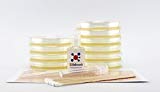 EZ BioResearch Bacteria Science Kit (I) : Pre-poured LB Agar Plates and Cotton Swabs, E-Book for Science Fair Project with Award Winning Experiments