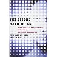 The Second Machine Age
