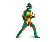 Teenage Mutant Ninja Turtles Raphael Classic Muscle Child Costume 4-6