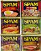 Spam Sampler 12oz Cans (Pack of 6 Different Flavors)