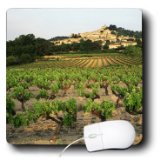 Danita Delimont - Vineyards - Vineyard, Luberon, Bonnieux, Vaucluse, France - EU09 DBN0836 - David Barnes - MousePad (mp_136449_1)