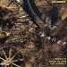 Folkways: A Vision Shared — A Tribute to Woody Guthrie and Leadbelly