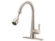 Faucet Kit Puldwn Sngl Lev Nic