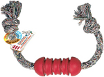 Kong Dk3m Dental Kong