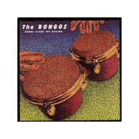 BONGOS - DRUMS ALONG THE HUDSON