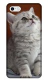 Guo Dion Cute Cat Cell Phone Case For Iphone 5