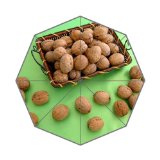 hot sale Nutrient rich walnut Custom Auto Foldable Umbrella cover