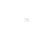 Busch Enterprises B4625016 Coatd/paintd W Wash 16 Oz