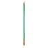 Seletti 'Linea' Neon Fluorescent Lamp - Green