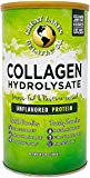 Great Lakes Gelatin, Collagen Hydrolysate, Unflavored Beef Protein, Kosher, 16 Oz Can