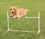 Petsafe Pdt00-11031 Bar Jump