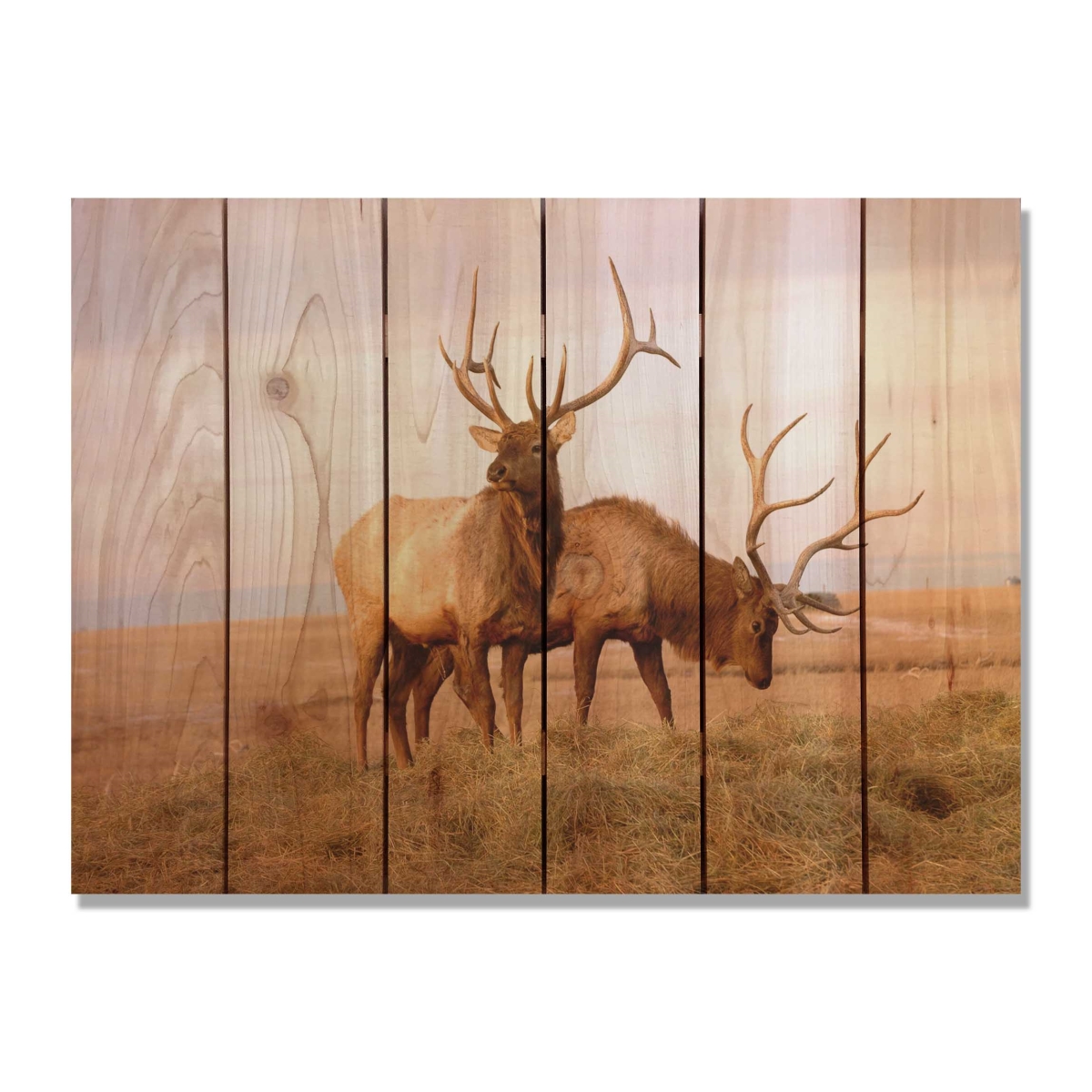 Day Dream HQ BE3324 33 x 24 in. Bull Elk Inside & Outside Cedar Wall Art