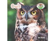 Owls Backyard Safari