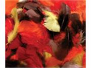 Assortment of Quill Feathers Fall Color