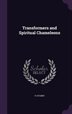 Transformers And Spiritual Chameleons