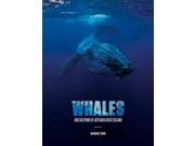 Whales And Dolphins Of Aotearoa New Zealand