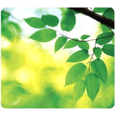 Fellowes 5903801 Recycled Mouse Pad Leaves - Mouse Pad - Multicolor