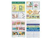 Bb Set Basic Biology