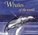 Whales Of The World: Whales Of The World