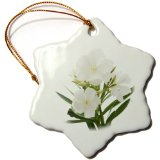 orn_46838_1 Taiche - Photography - Oleander - Oleander White - white, flower, tree, oleander, blossom, tropical plant, buds - Ornaments - 3 inch Snowflake Porcelain Ornament