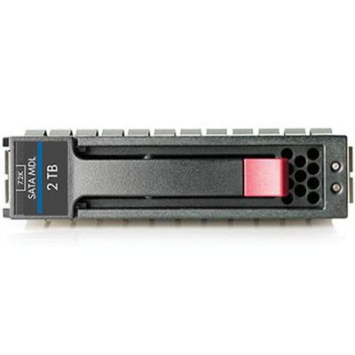 Midline - hard drive - 2 TB - SATA-300