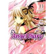 Angel Diary, Vol. 11