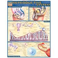 Reproductive System Quick Reference Guide