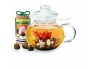 Primula Pta-4002 Dst Flowering Tea Gift Set (40 Oz Teapot, Glass Infuser, And Lid With Canister Of 12 Flowering Teas)
