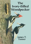 The Ivory-billed Woodpecker