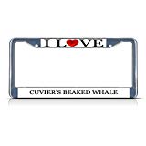 Elvira Jasper I Love Heart Cuvier'S Beaked Whale Chrome Metal License Plate Frame Tag Border