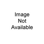 Bolle Boll-tempest Rl-50480 Replacement Lens
