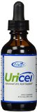 Uricel the #1 Uric Acid Lowering Formula | High Potency Key Ingredients Designed to Lower Uric Acid, Relieve Gout Pain, Reduce Gout Swelling and Prevent Gout Attacks, 14 Day Cleanse
