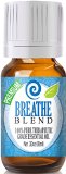 Breathe Blend 100% Pure, Best Therapeutic Grade Essential Oil - 10ml - Comparable to Doterra Breathe, Young Living Raven, Eden's Exhale, Inhale, Respiratory and Sinus Relief - Breathe Easy / Easier - Peppermint, Rosemary, Lemon, Eucalyptus