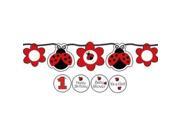 Ladybug Party Banner - Party Supplies