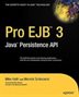 Pro Ejb 3: Java Persistence Api