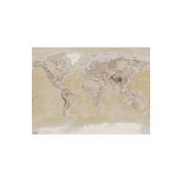 Neutral Map Wall Mural