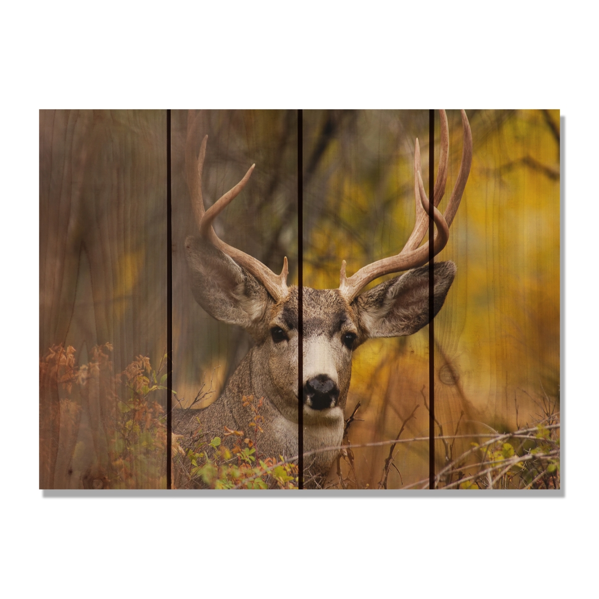 Day Dream HQ PL2216 22 x 16 in. Perfect Look Inside & Outside Cedar Wall Art