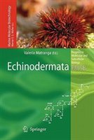 Echinodermata