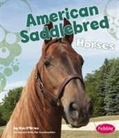 American Saddlebred Horses